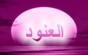 أميرة الجميلات