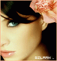 شهد الحروف