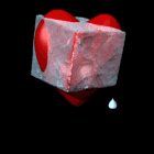 شمـ مسقط ــس