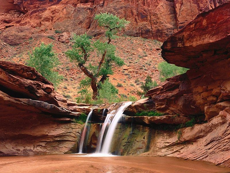 صور البراويز صور البراويز6 Size:145.20 Kb Dim: 800 x 600 Size: Kb Dim: x