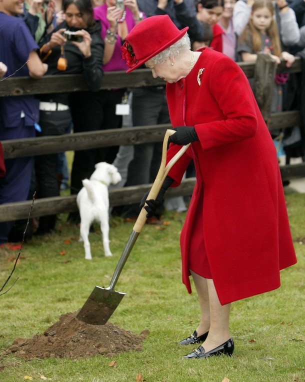 ملوك وسلاطين Queen Elizabeth Size:120.10 Kb Dim: 610 x 764 Size: Kb Dim: x