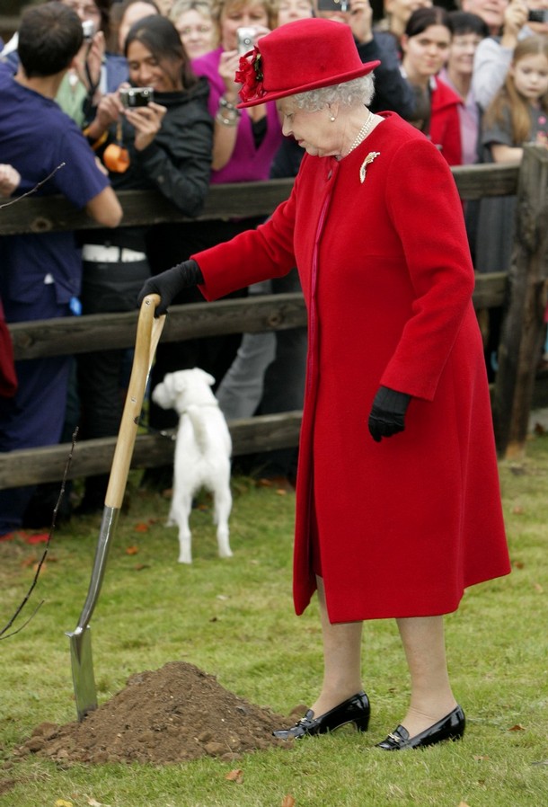 ملوك وسلاطين Queen Elizabeth Size:131.90 Kb Dim: 610 x 898 Size: Kb Dim: x