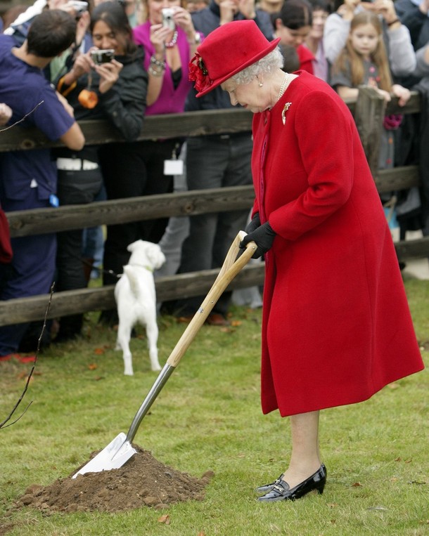 ملوك وسلاطين Queen Elizabeth Size:122.80 Kb Dim: 610 x 763 Size: Kb Dim: x