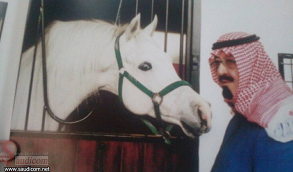 ملوك وسلاطين ملوك وسلاطين1 Size:142.40 Kb Dim: 600 x 352 Size: Kb Dim: x