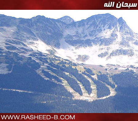 مشاهير العالم سبحان الله Size:55.80 Kb Dim: 450 x 394 Size: Kb Dim: x