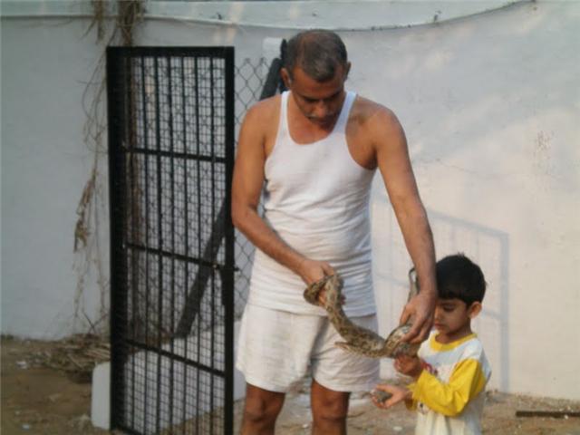 الحيوانات الأليفة بحريني يربي حيوانات في بيته14 Size:35.90 Kb Dim: 640 x 480 Size: Kb Dim: x