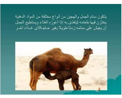 الحيوانات الأليفة الحيوانات الأليفة1 Size:18.90 Kb Dim: 396 x 319 Size: Kb Dim: x