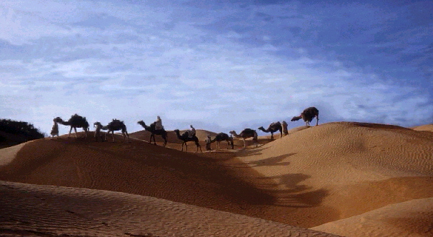 الحيوانات الأليفة الحيوانات الأليفة11 Size:122.70 Kb Dim: 606 x 332 Size: Kb Dim: x