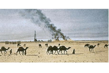 الحيوانات الأليفة الحيوانات الأليفة12 Size:28.80 Kb Dim: 458 x 305 Size: Kb Dim: x