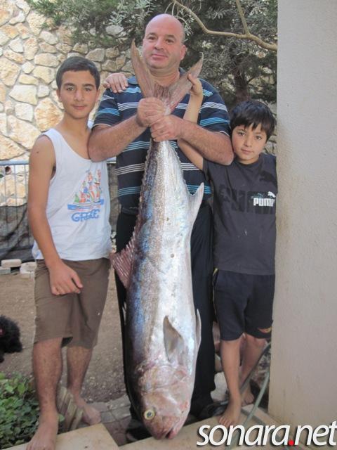 الحيوانات الأليفة الحيوانات الأليفة1 Size:52.20 Kb Dim: 480 x 640 Size: Kb Dim: x