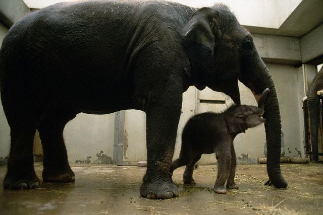 ������ ����� ������ �� 640x413 ������� 55KB. ���� ��� �������