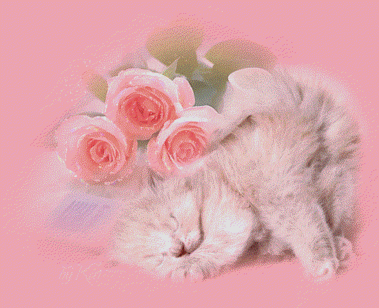 الحيوانات الأليفة الحيوانات الأليفة3 Size:59.50 Kb Dim: 550 x 447 Size: Kb Dim: x