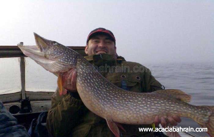 الحيوانات الأليفة لهواة صيد السمك فقط2 Size:35.40 Kb Dim: 700 x 449 Size: Kb Dim: x