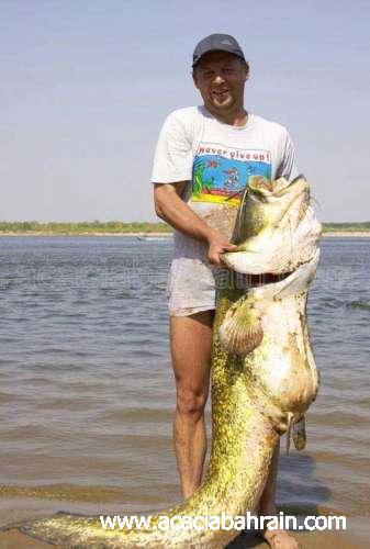 الحيوانات الأليفة لهواة صيد السمك فقط3 Size:26.70 Kb Dim: 337 x 500 Size: Kb Dim: x