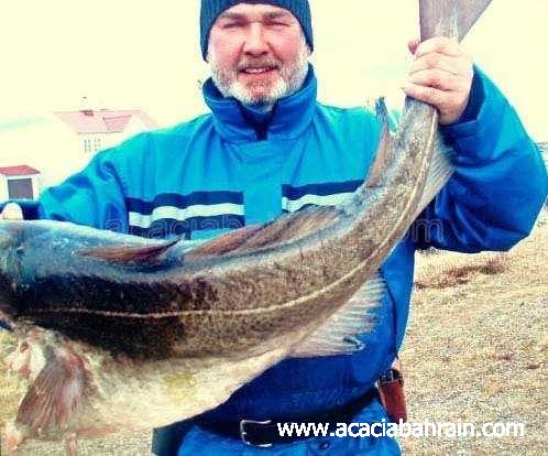 الحيوانات الأليفة لهواة صيد السمك فقط7 Size:43.60 Kb Dim: 498 x 414 Size: Kb Dim: x