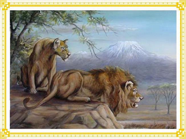 الحيوانات المفترسة الحيوانات المفترسة1 Size:49.50 Kb Dim: 653 x 487 Size: Kb Dim: x