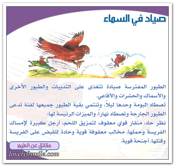 الطيور والجوارح الطيور المفترسة1 Size:64.60 Kb Dim: 580 x 551 Size: Kb Dim: x