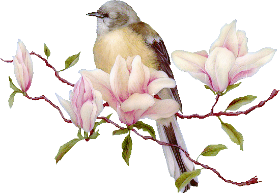 مناظر طبيعية خيالية مناظر طبيعية خيالية14 Size:93.60 Kb Dim: 550 x 379 Size: Kb Dim: x