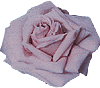 صور الفواصل والزينة صور الفواصل والزينة10 Size:5.20 Kb Dim: 100 x 88 Size: Kb Dim: x