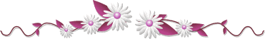 صور الفواصل والزينة صور الفواصل والزينة3 Size:9.70 Kb Dim: 371 x 55 Size: Kb Dim: x