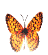 صور الفواصل والزينة صور الفواصل والزينة2 Size:9.60 Kb Dim: 70 x 80 Size: Kb Dim: x