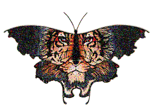 صور الفواصل والزينة صور الفواصل والزينة11 Size:78.20 Kb Dim: 305 x 215 Size: Kb Dim: x