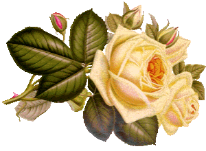 صور الفواصل والزينة صور الفواصل والزينة6 Size:34.10 Kb Dim: 300 x 220 Size: Kb Dim: x