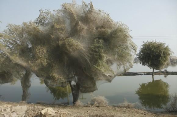 غرائب الصور ظاهره غريبه في الباكستان3 Size:29.70 Kb Dim: 580 x 384 Size: Kb Dim: x