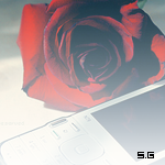 صور متنوعة صور متنوعة14 Size:34.30 Kb Dim: 150 x 150 Size: Kb Dim: x