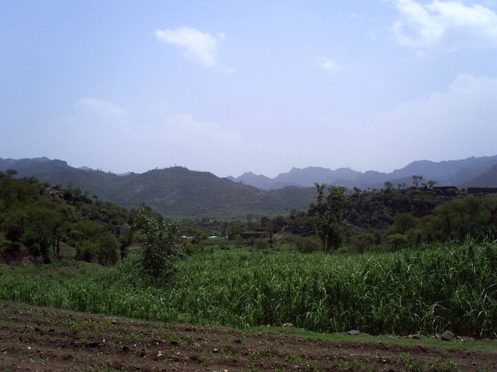 صور متنوعة صور متنوعة10 Size:74.50 Kb Dim: 720 x 540 Size: Kb Dim: x