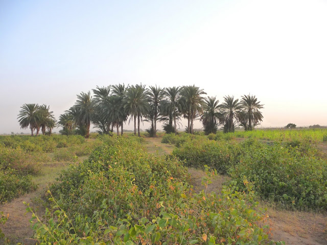 صور متنوعة صور متنوعة2 Size:116.00 Kb Dim: 640 x 480 Size: Kb Dim: x