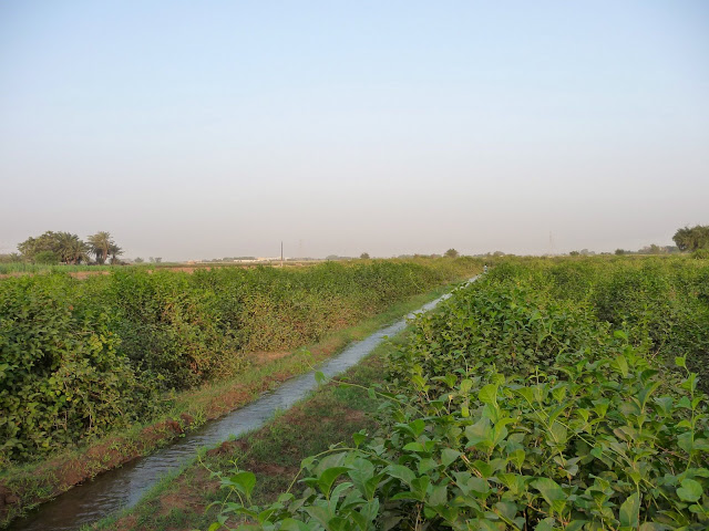 صور متنوعة صور متنوعة10 Size:110.10 Kb Dim: 640 x 480 Size: Kb Dim: x