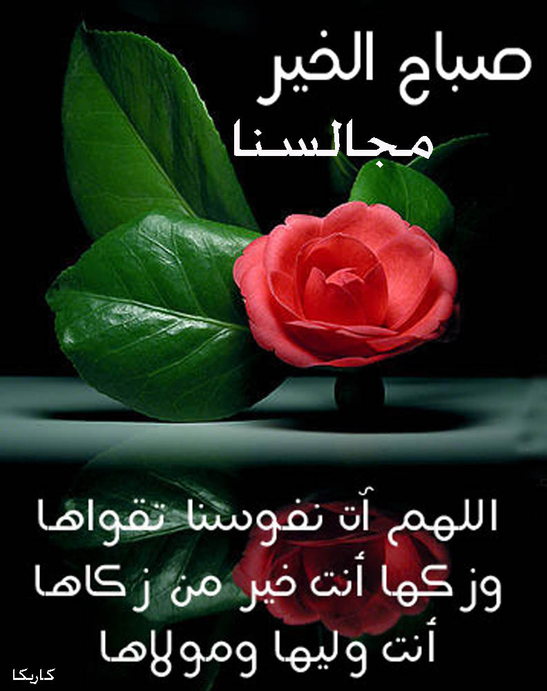 صور متنوعة صور متنوعة1 Size:114.90 Kb Dim: 792 x 1001 Size: Kb Dim: x