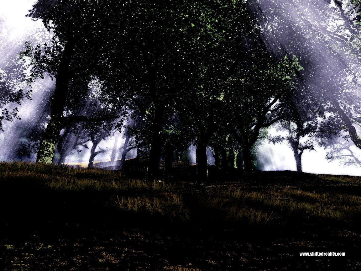 صور متنوعة خلفيات لمناظر طبيعية3 Size:315.70 Kb Dim: 1152 x 864 Size: Kb Dim: x