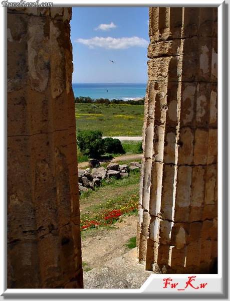 صور متنوعة صقلية المدينة الرائعة15 Size:48.30 Kb Dim: 459 x 600 Size: Kb Dim: x
