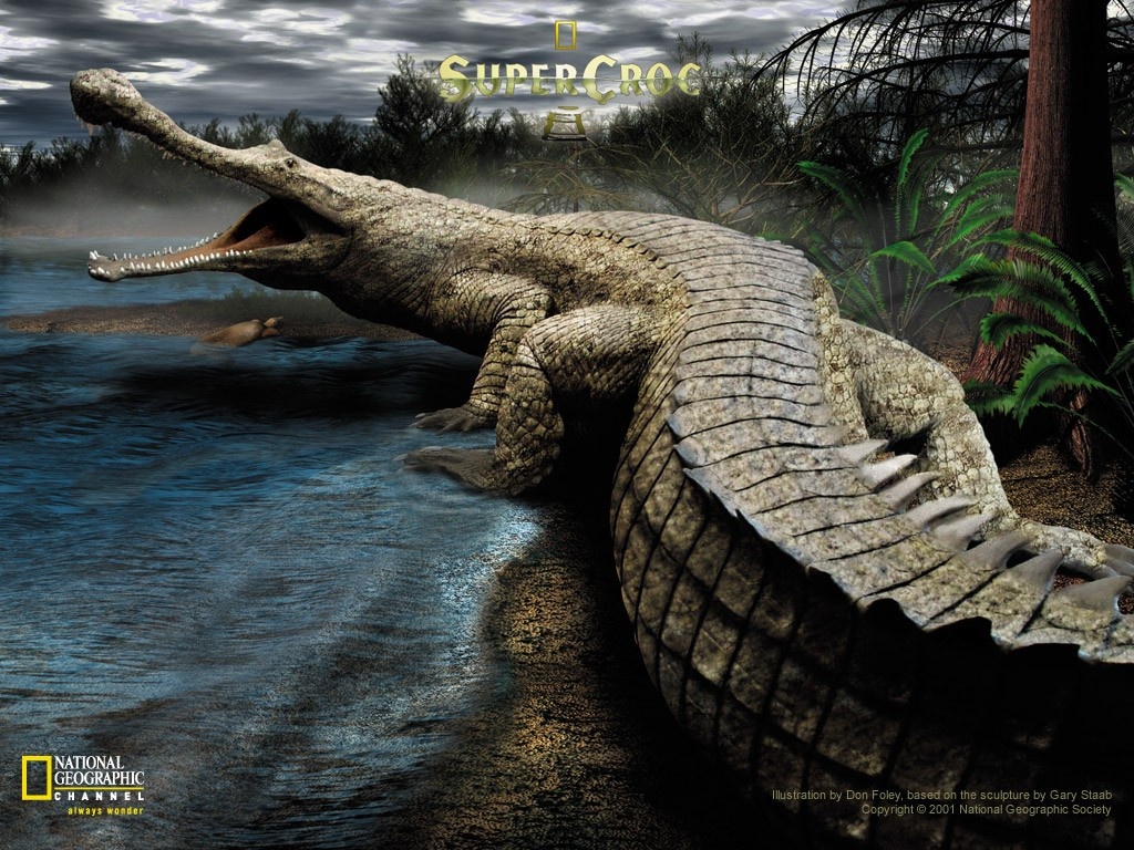 تماسيح crocodile تماسيح ، تمساح Size:373.30 Kb Dim: 1024 x 768 Size: Kb Dim: x