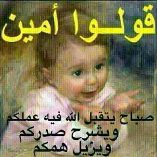 بطاقات الصباح بطاقة الصباح Size:77.50 Kb Dim: 640 x 640 Size: Kb Dim: x