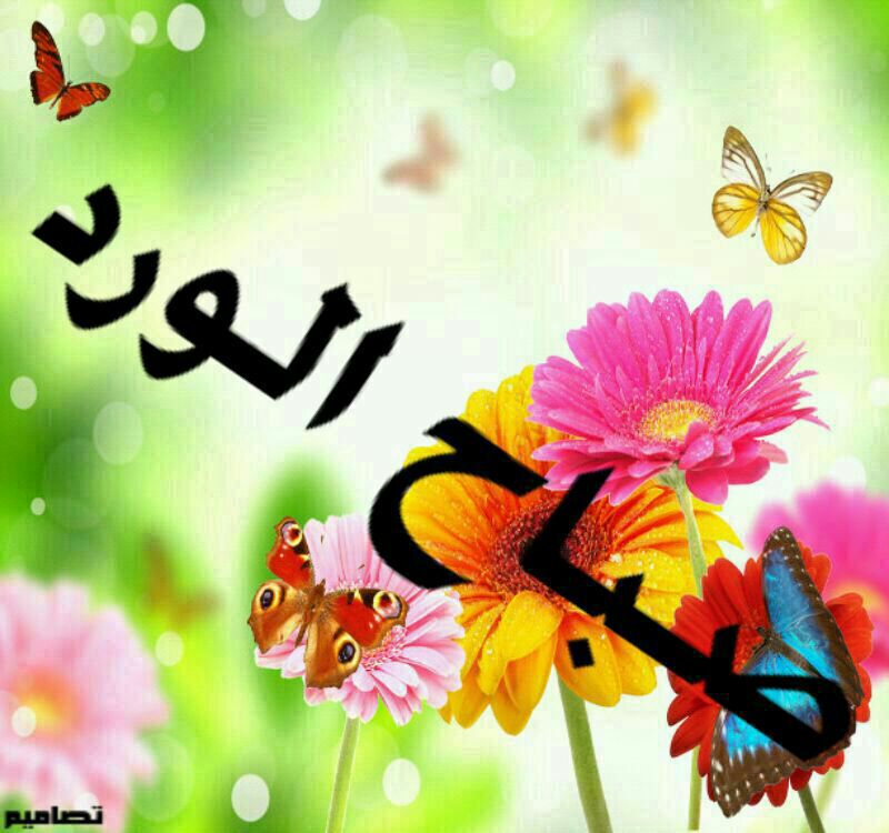بطاقات الصباح بطاقة الصباح Size:78.70 Kb Dim: 800 x 750 Size: Kb Dim: x