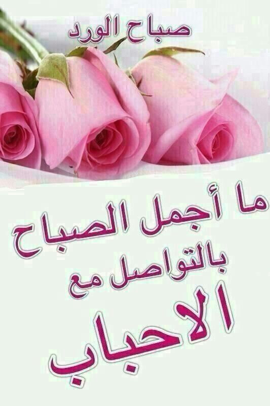 بطاقات الصباح بطاقة الصباح Size:57.00 Kb Dim: 533 x 800 Size: Kb Dim: x