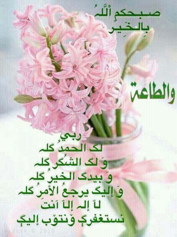 بطاقات الصباح بطاقة الصباح Size:92.70 Kb Dim: 600 x 800 Size: Kb Dim: x