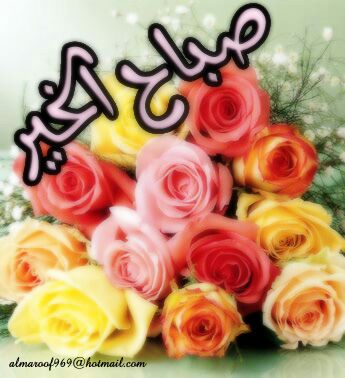 بطاقات الصباح بطاقة الصباح Size:30.20 Kb Dim: 345 x 378 Size: Kb Dim: x