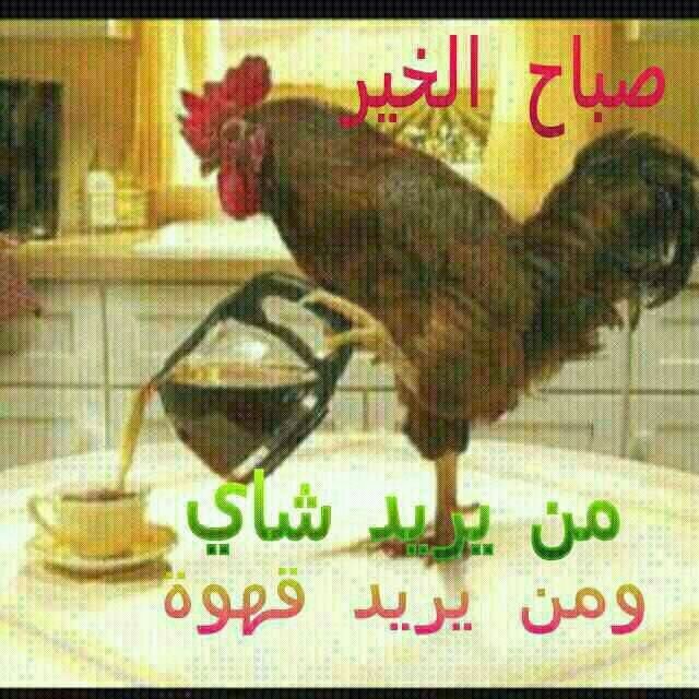 بطاقات الصباح بطاقة الصباح Size:88.10 Kb Dim: 640 x 640 Size: Kb Dim: x