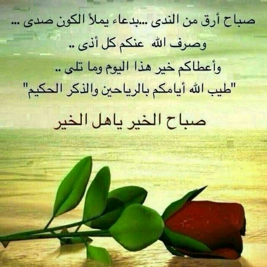 بطاقات الصباح بطاقة الصباح Size:104.50 Kb Dim: 900 x 900 Size: Kb Dim: x