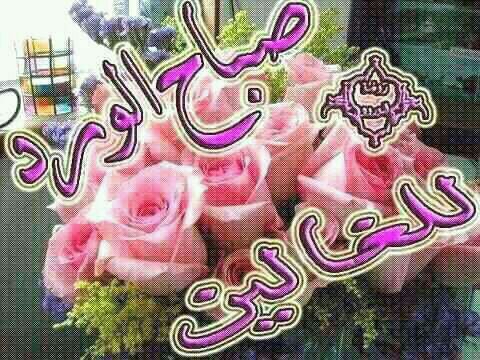 بطاقات الصباح بطاقة الصباح Size:54.40 Kb Dim: 480 x 360 Size: Kb Dim: x