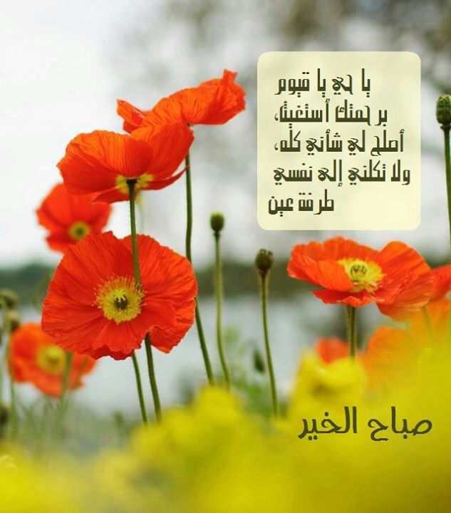 بطاقات الصباح بطاقة الصباح Size:53.20 Kb Dim: 633 x 720 Size: Kb Dim: x