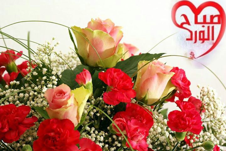 بطاقات الصباح بطاقة الصباح Size:74.40 Kb Dim: 720 x 481 Size: Kb Dim: x