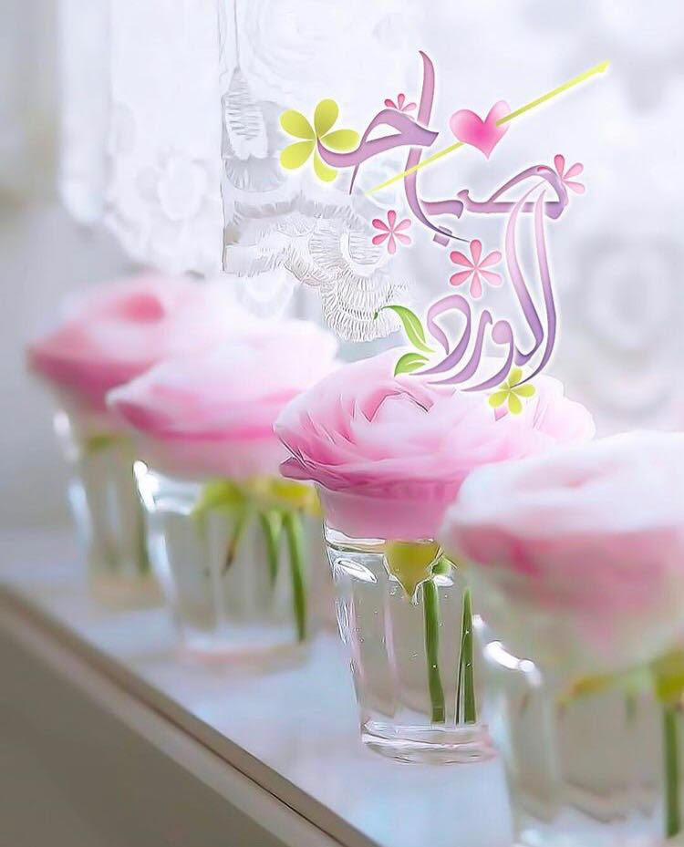 بطاقات الصباح بطاقات الصباح Size:64.06 Kb Dim: 750 x 929 Size: Kb Dim: x