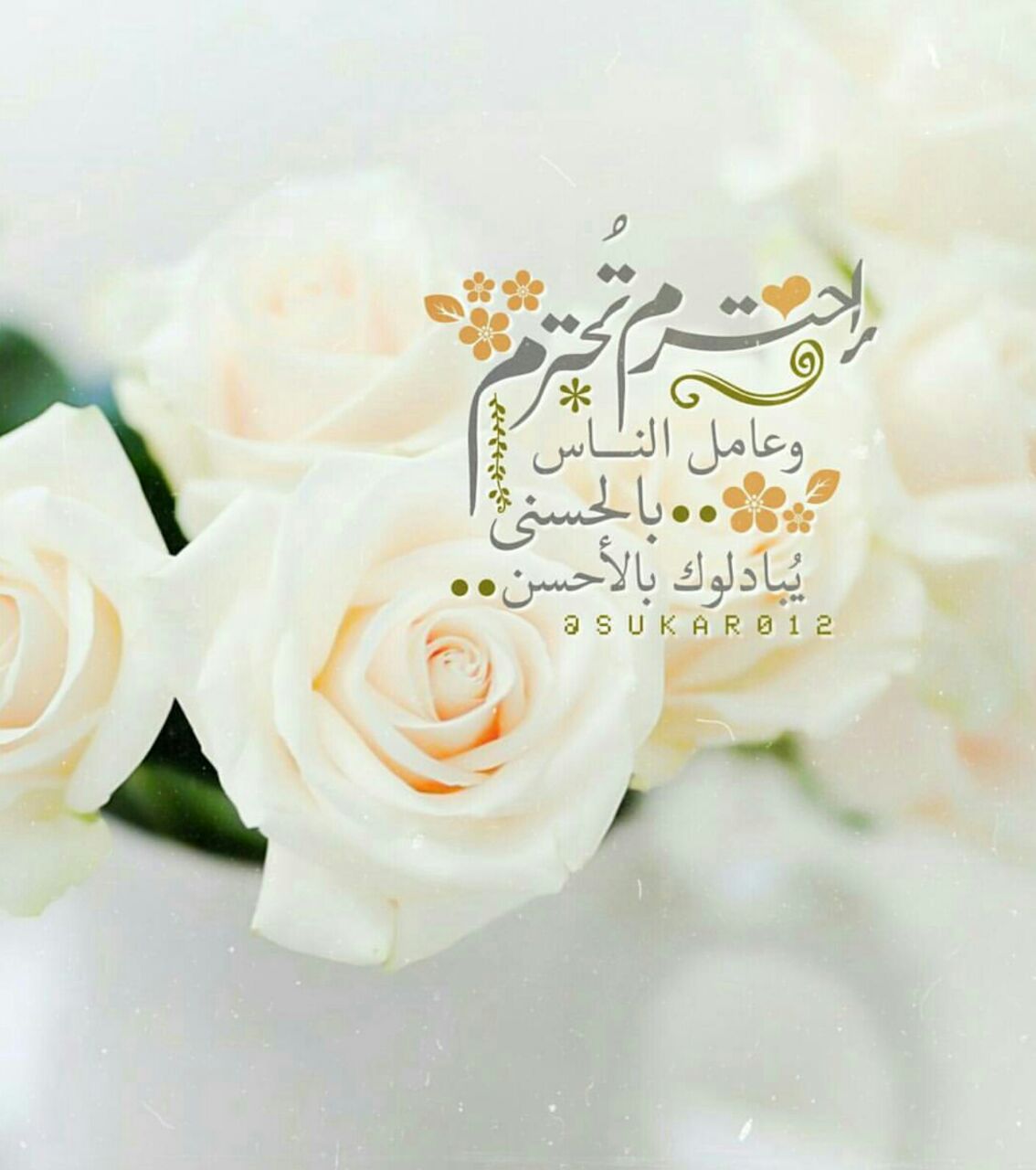 بطاقات الصباح بطاقات الصباح Size:93.64 Kb Dim: 1134 x 1280 Size: Kb Dim: x