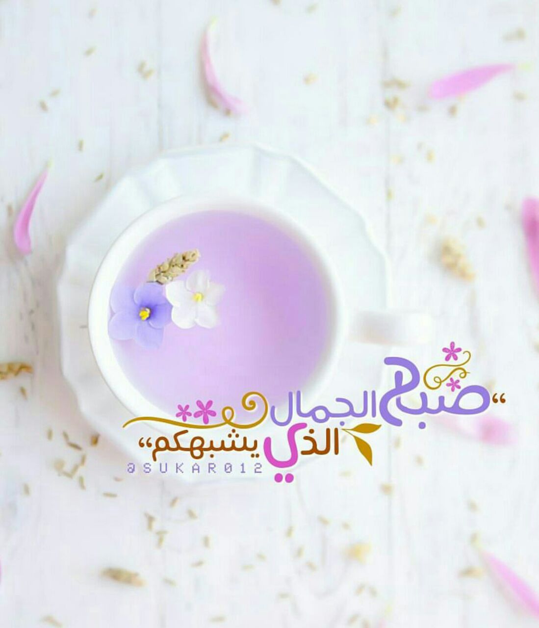بطاقات الصباح بطاقات الصباح Size:83.12 Kb Dim: 1099 x 1280 Size: Kb Dim: x
