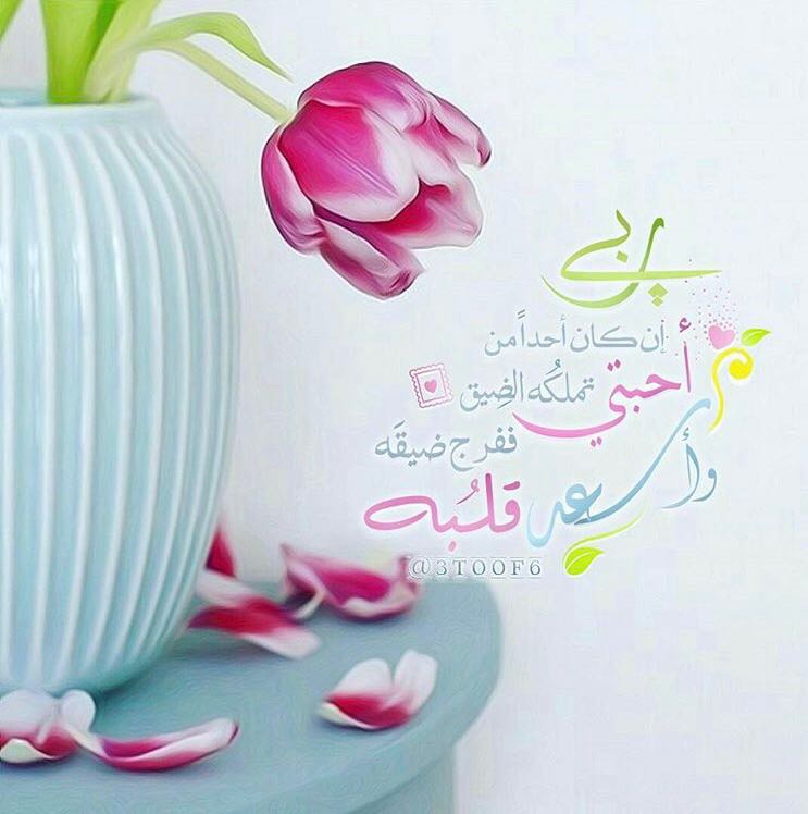 بطاقات الصباح بطاقات الصباح Size:52.21 Kb Dim: 743 x 748 Size: Kb Dim: x